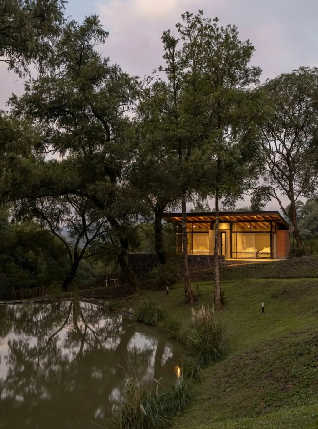 WhatsApp Image 2026-02-15 at 08.50.40 (1)