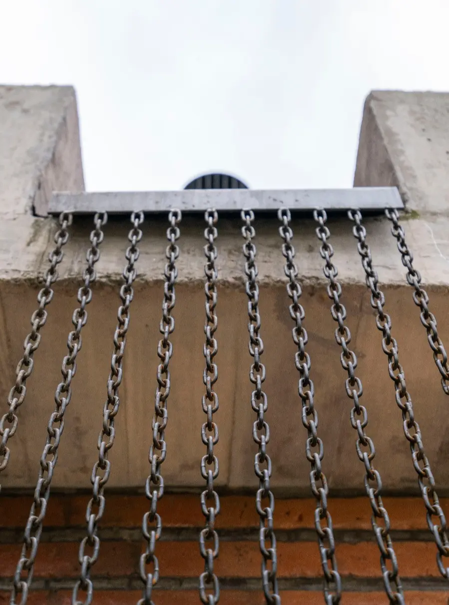 WhatsApp Image 2026-02-15 at 08.50.40