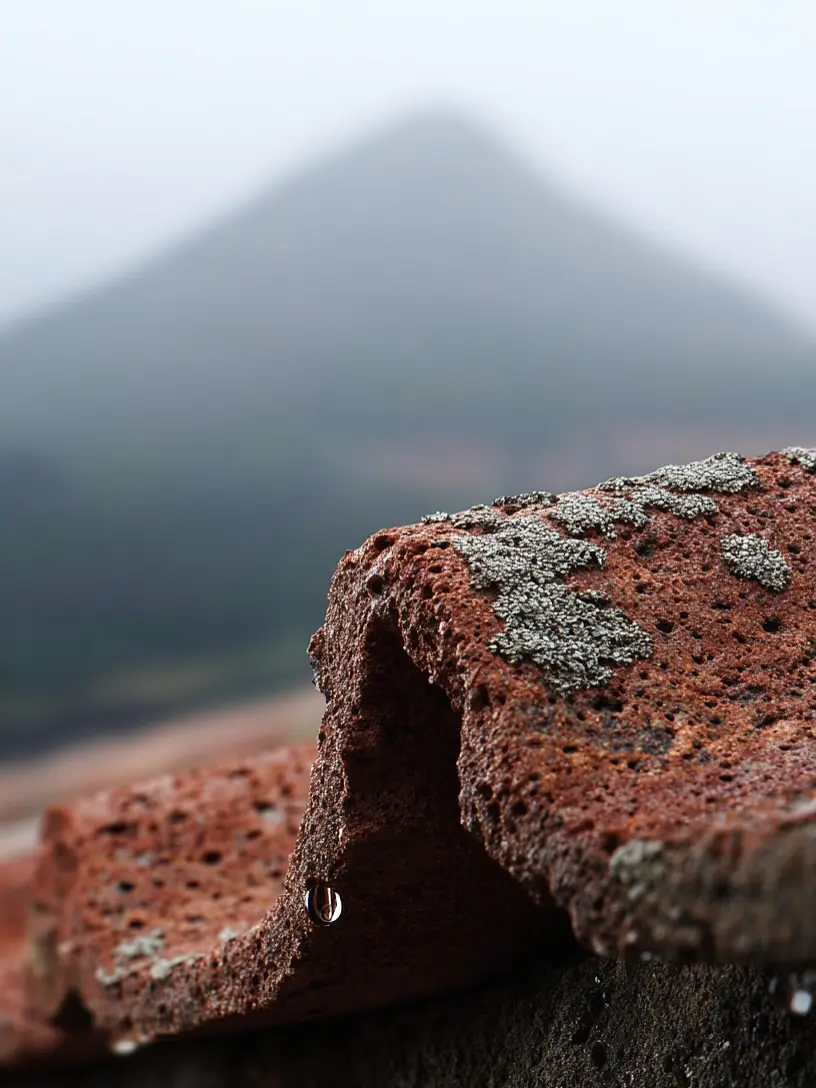 WhatsApp Image 2026-02-15 at 08.50.50 (3)