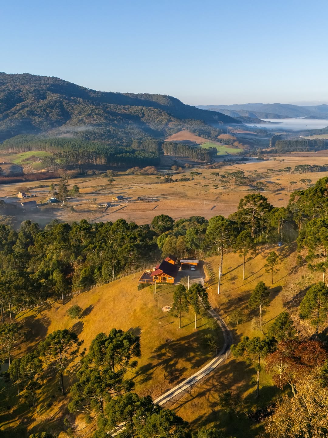 WhatsApp Image 2026-02-19 at 09.42.52 (2)